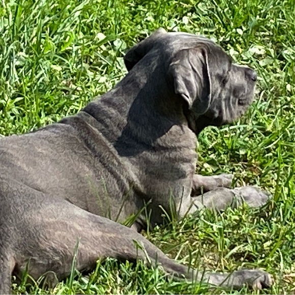 Meet your Posher, Stephanie - Picture 1 of 1